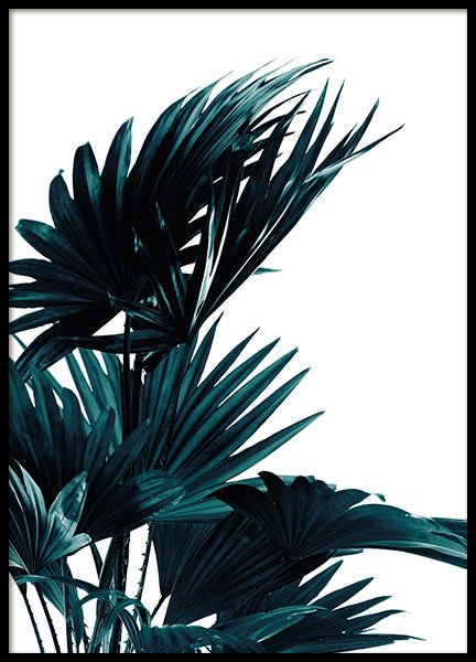 Palm Leaves Poster no grupo Posters  / Bot�nico em Desenio AB (8318)