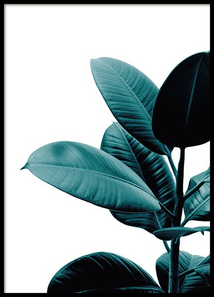 Green Plant Poster no grupo Posters  / Bot�nico em Desenio AB (8319)
