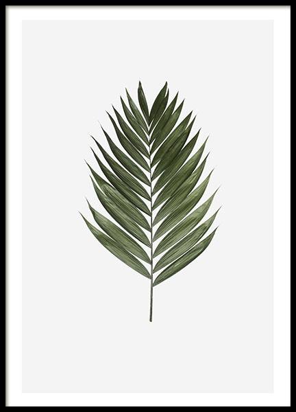 Palm Leaf Poster no grupo Posters  / Bot�nico em Desenio AB (8361)