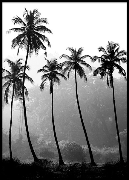 Palm Trees Poster no grupo Posters  / Natureza / Tropical em Desenio AB (8379)