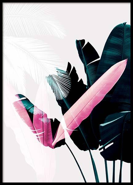 Plant Exposure Poster no grupo Posters  / Bot�nico em Desenio AB (8987)