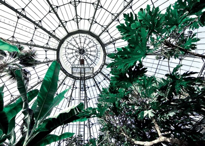 Botanical Garden No2 Poster