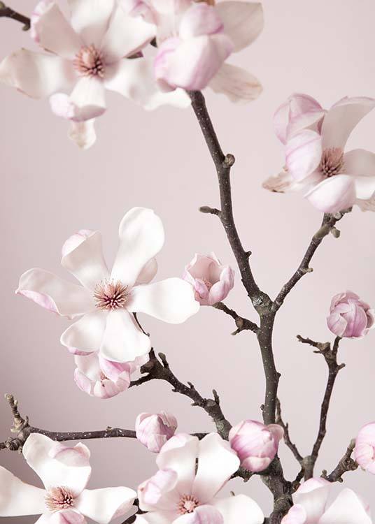 Pink Spring Flower Poster / Arte fotográfica em Desenio AB (10213)