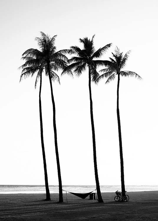  – Fotografia a preto e branco de uma praia com palmeiras com o oceano de fundo