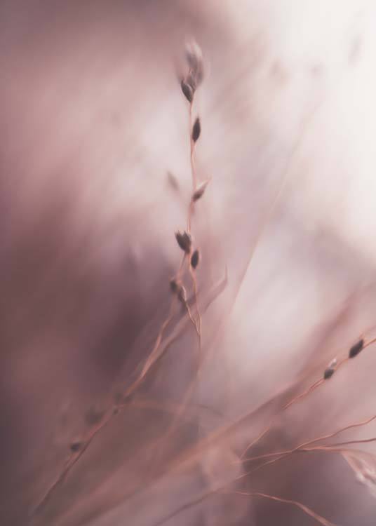 Pink Grass No.3 Poster