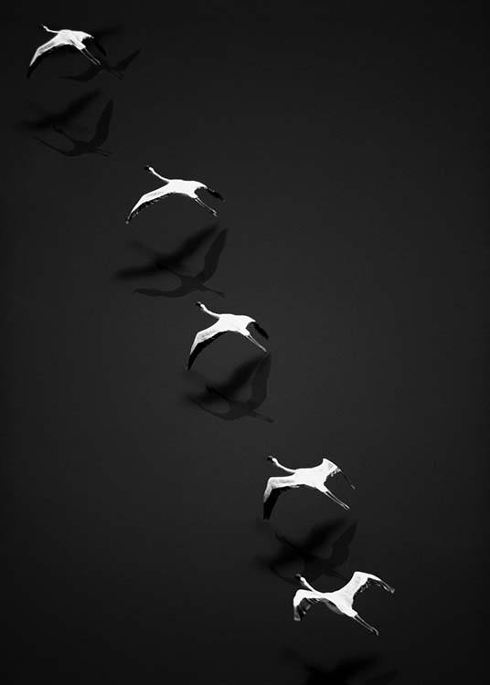 Flying Flamingos Poster / Preto e branco em Desenio AB (10402)