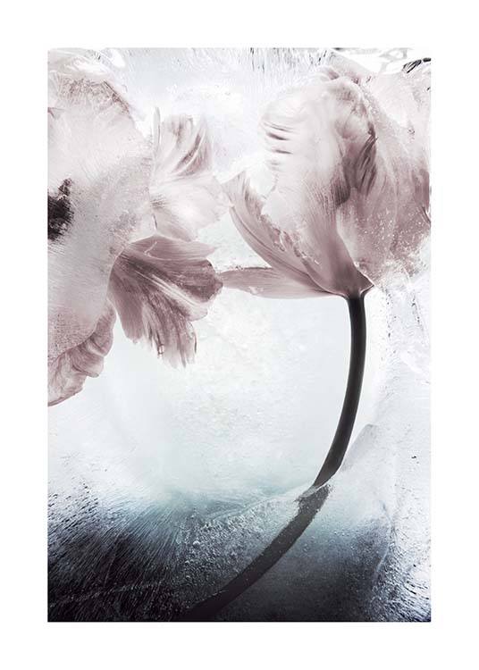 Tulipe And Ice No1  Poster