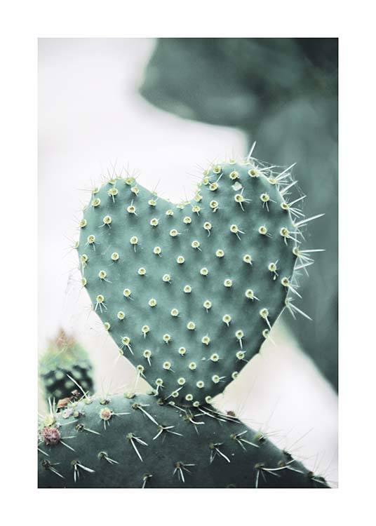 Heart Cactus Poster