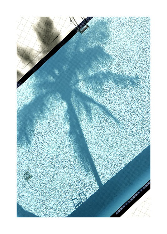 Pool and Palm Tree Poster