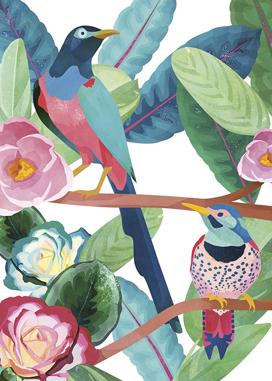 Birds of Paradise Poster / Animais em Desenio AB (10687)
