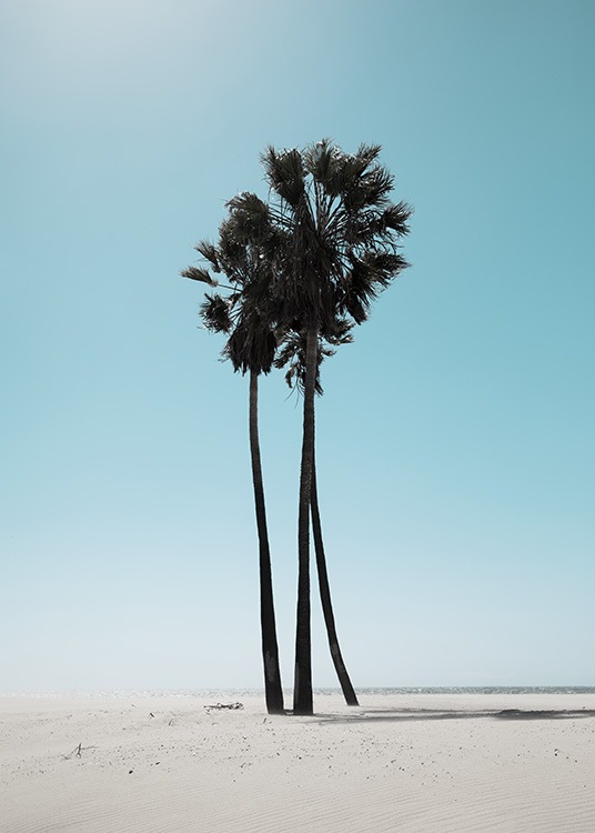 LA Beach Palms Poster / Tropical em Desenio AB (10784)