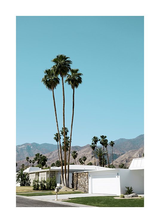 Street of Palm Springs Poster / 70x100 cm em Desenio AB (10790)