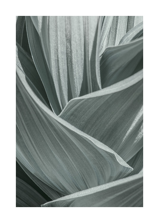 Abstract Green Leaves Poster / Arte fotográfica em Desenio AB (10982)