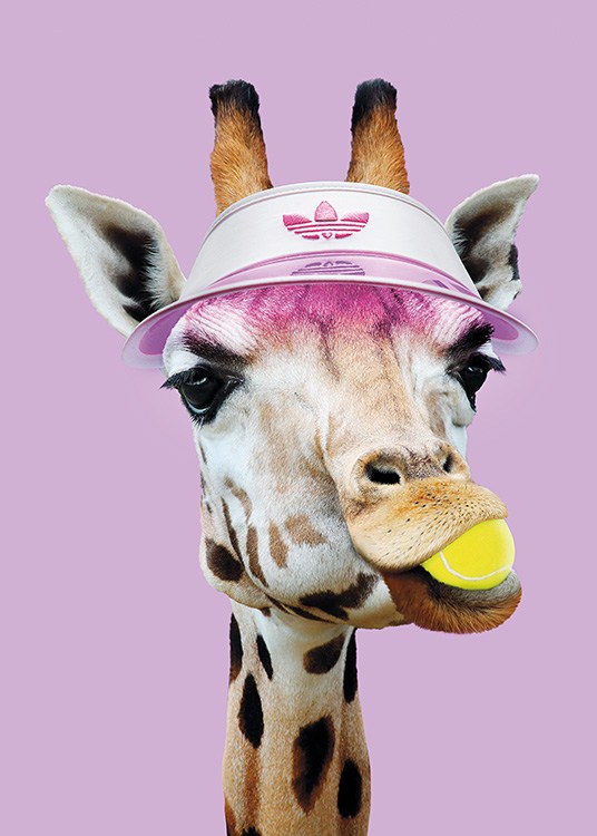 Tennis Giraffe Poster / Posters para crianças em Desenio AB (11020)