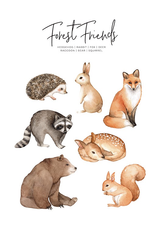 Forest Animals Poster / Ilustrações de animais em Desenio AB (11378)