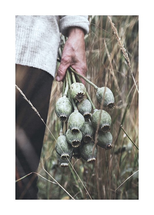 Autumn Treasures Poster