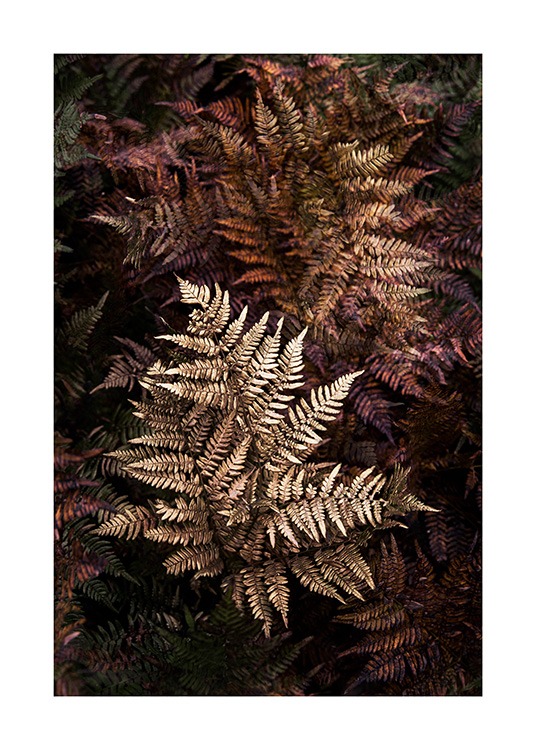 Golden Fern Poster