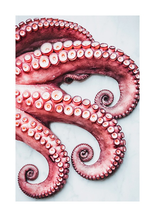 Octopus Arms Poster / Pinturas de cozinha em Desenio AB (11519)