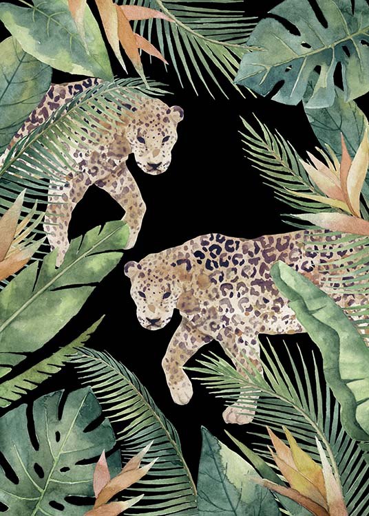 Leopards Poster