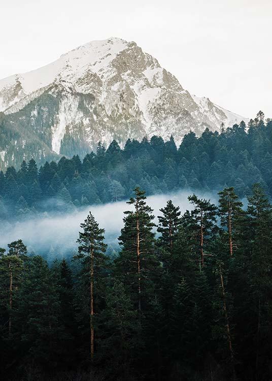 –Fotografia da floresta em frente a uma montanha.