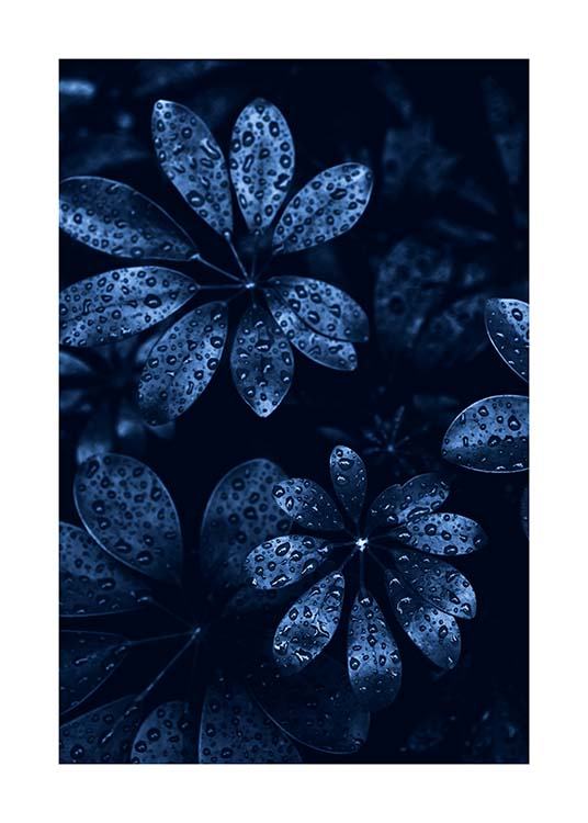 Raindrops on Leaves Poster / Arte fotográfica em Desenio AB (11664)