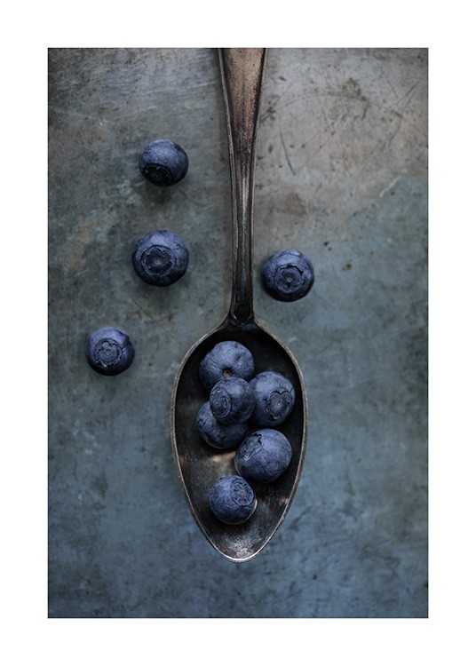 Sweet Blueberries Poster