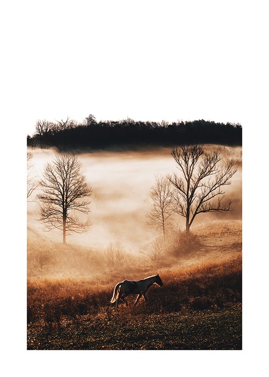 Horse in Landscape Poster