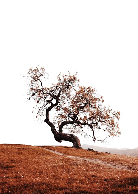 –Poster de uma árvore numa colina.