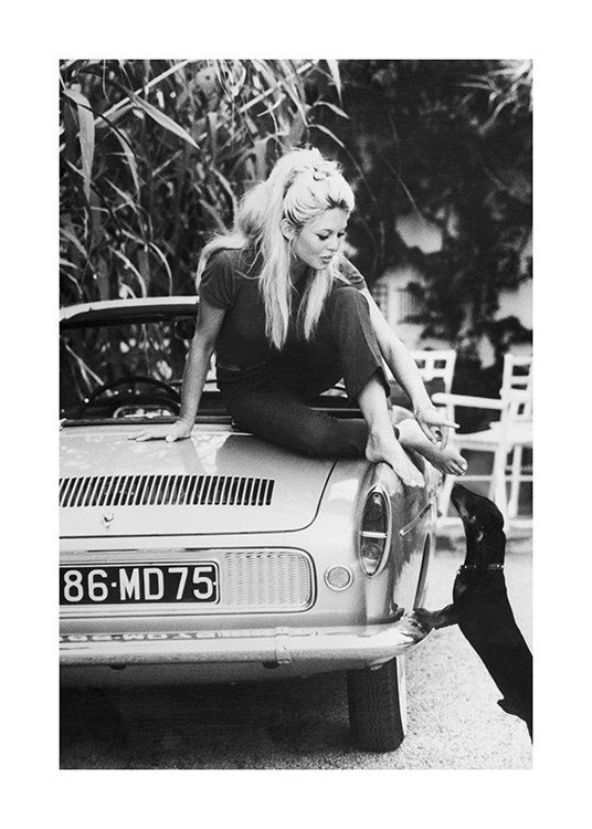 Brigitte Bardot Poster