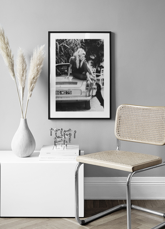  – Fotografia a preto e branco de Brigitte Bardot a esticar – se em direção a um cão