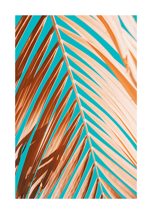 Palm Leaf Against Blue Sky Poster