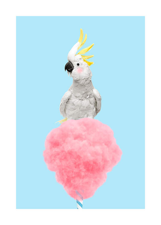 Cotton Candy Cockatoo Poster / Pássaros em Desenio AB (12478)