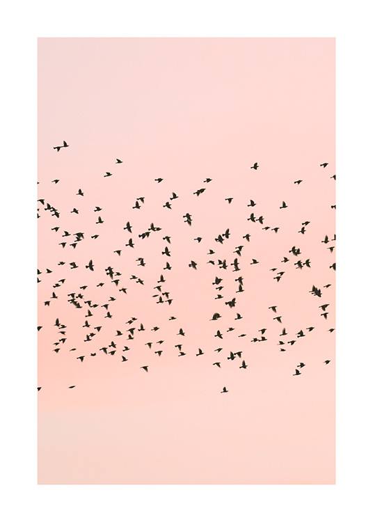 Pink Sunset Birds Poster