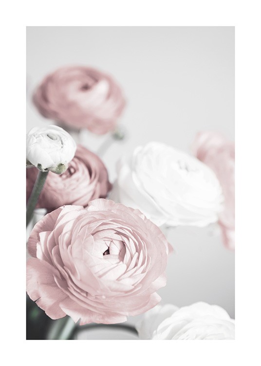 Lovely Roses Poster