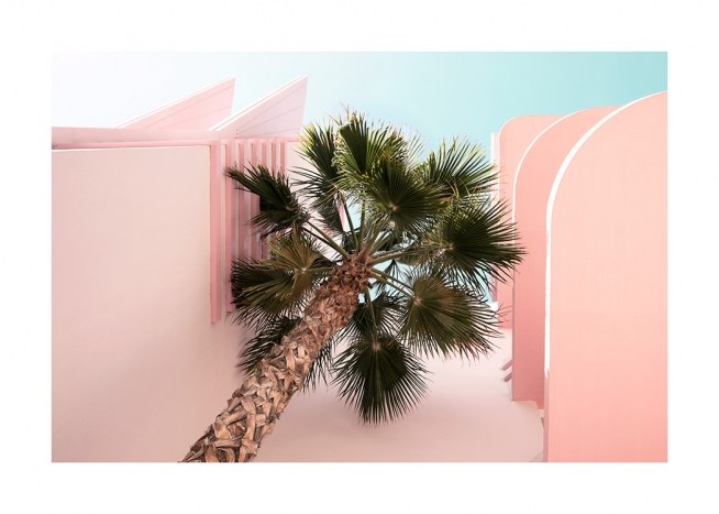 Palm from Beneath Poster