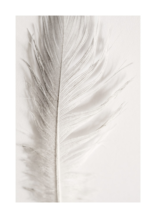 Angel Feather Poster