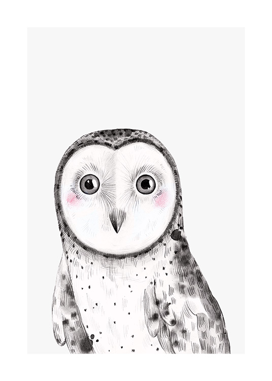 Tiny Owl Poster