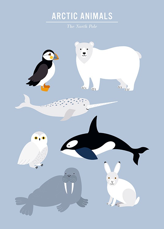 Arctic Animals Poster