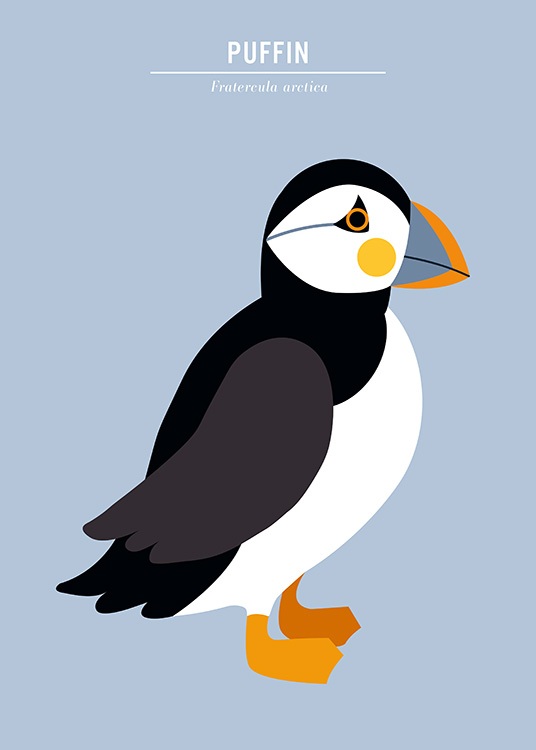 Puffin Poster