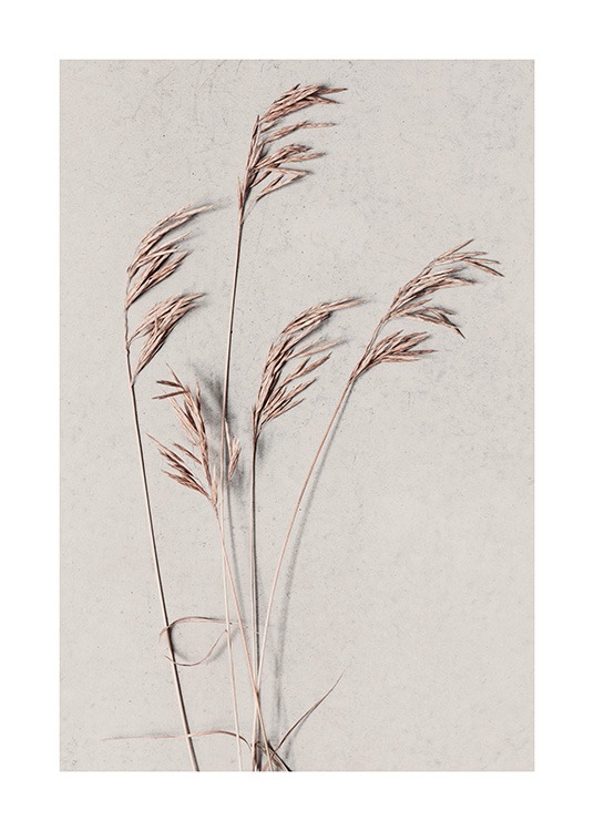 Desert Grass Poster