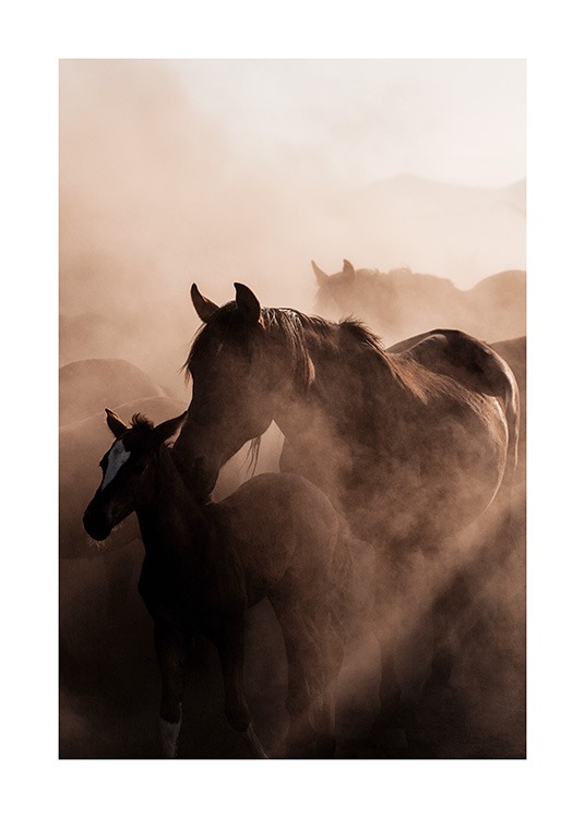  - Impressão de animais com uma fotografia de uma manada de cavalos selvagens, representados por um potro e sua mãe na frente