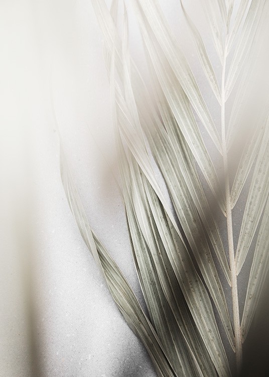 Foggy Palm Leaf Poster