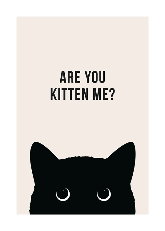 Are You Kitten Me? Poster