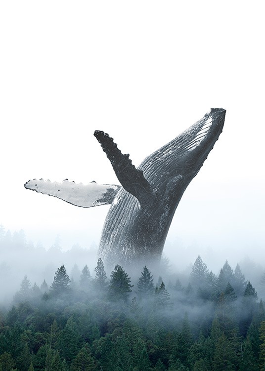  - Poster de foto artística de uma baleia a atirar-se de costas para uma floresta coberta de nevoeiro