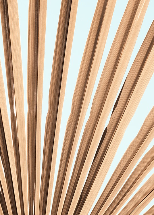 Beige Palm Leaf Poster
