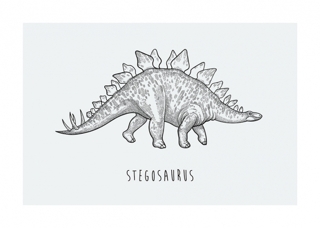 Stegosaurus Poster