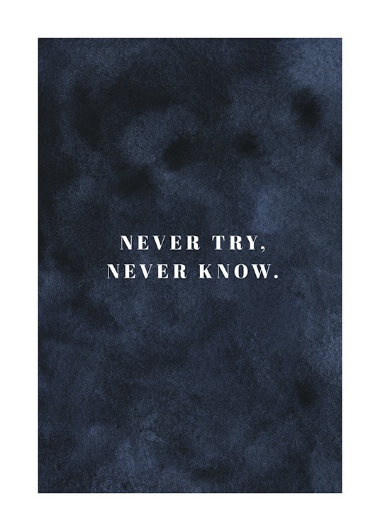 Never Try Never Know Poster