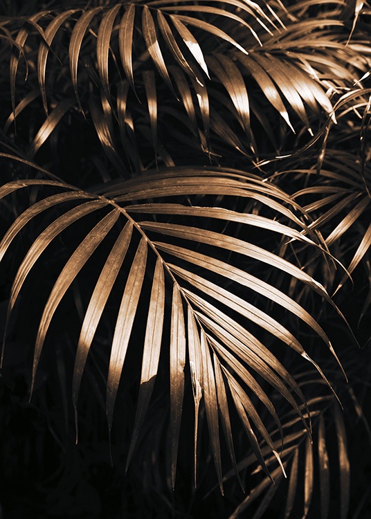 – Fotografia de folhas de palmeira em dourado sob um fundo preto
