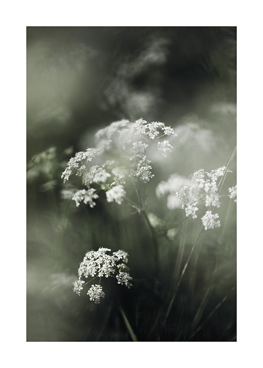 Misty Meadow Flower Poster