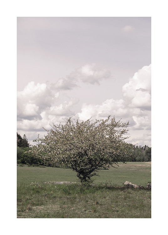 Lonely Tree Poster